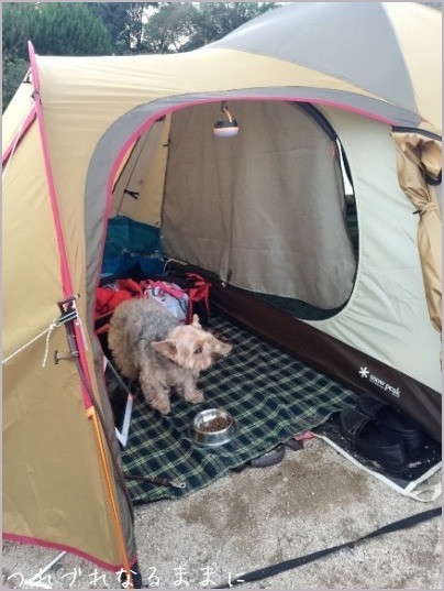 d0017632_01504185.jpeg
