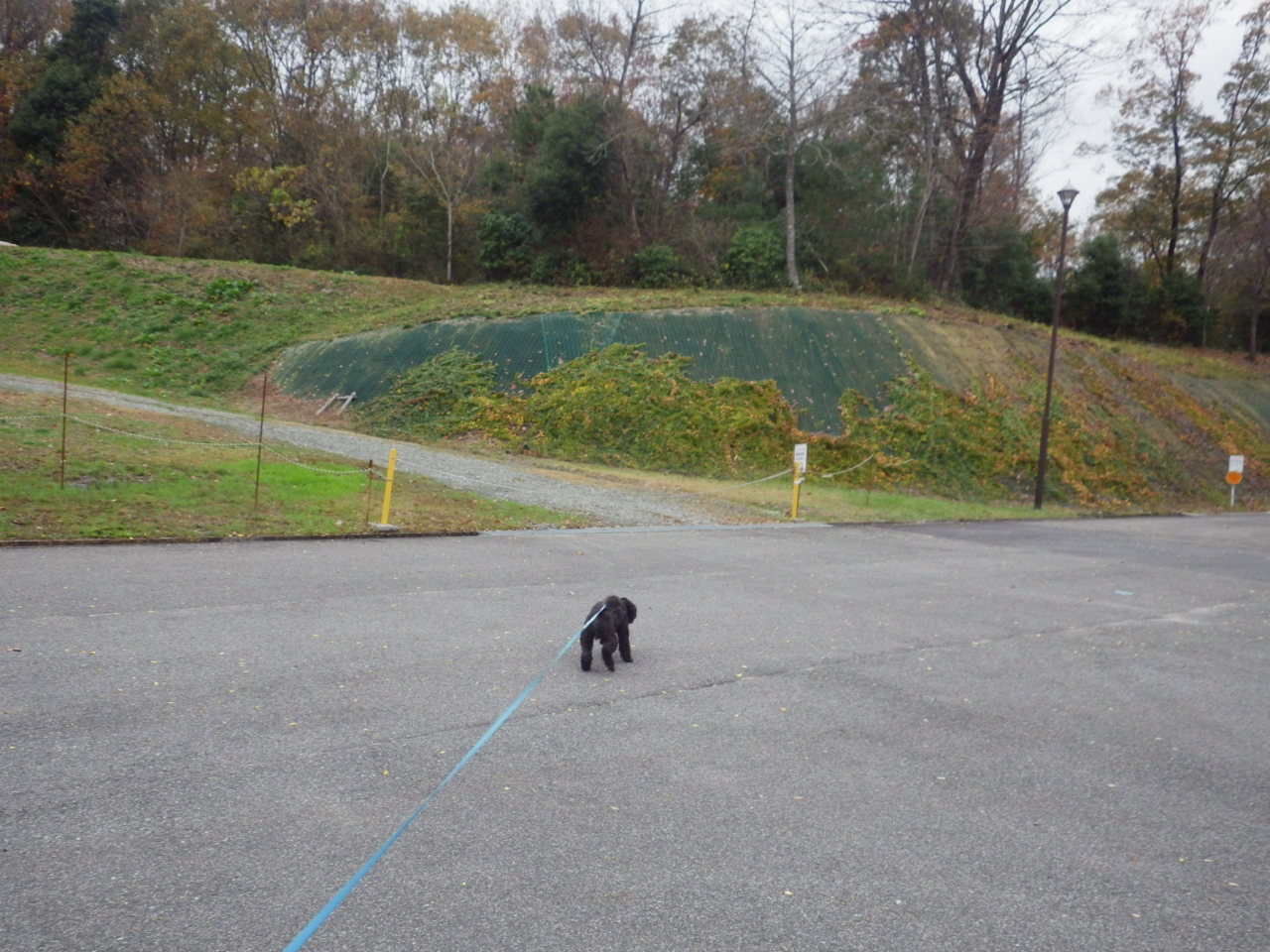 c0300035_17101377.jpg