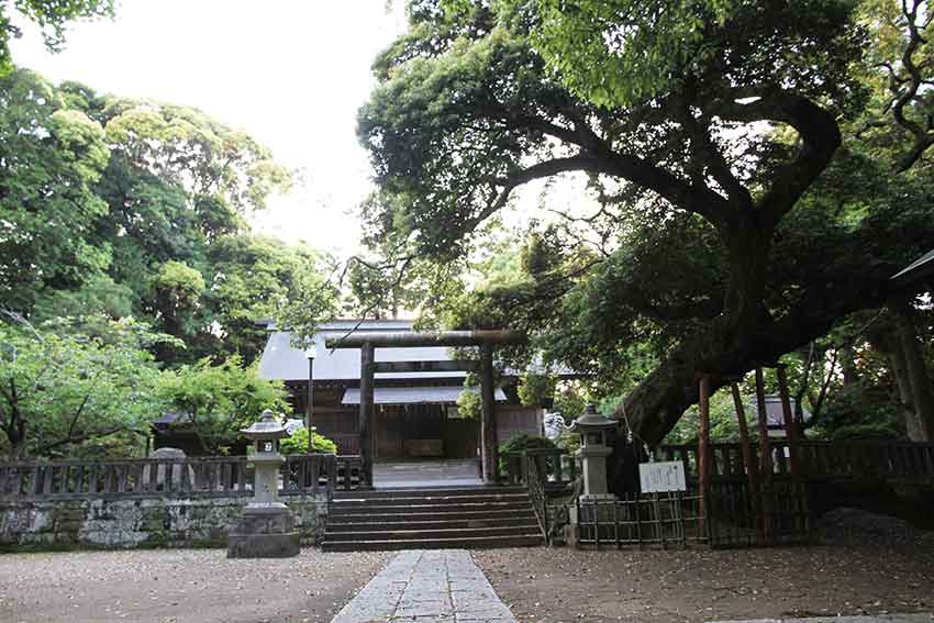 「讃岐忌部」の祖「手置帆負命」と「莫越山神社」-2♪_d0058941_21383714.jpg