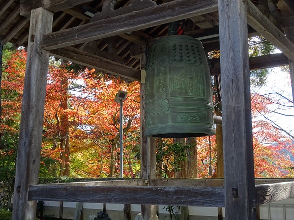 苗秀寺の紅葉2015_b0299042_11314655.jpg