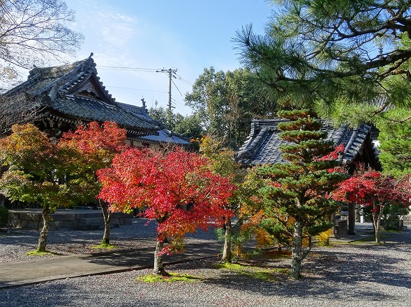 穴太寺の紅葉_b0299042_11402798.jpg