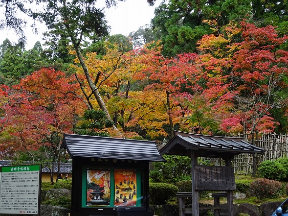 湖東三山・西明寺の紅葉_b0299042_13163444.jpg