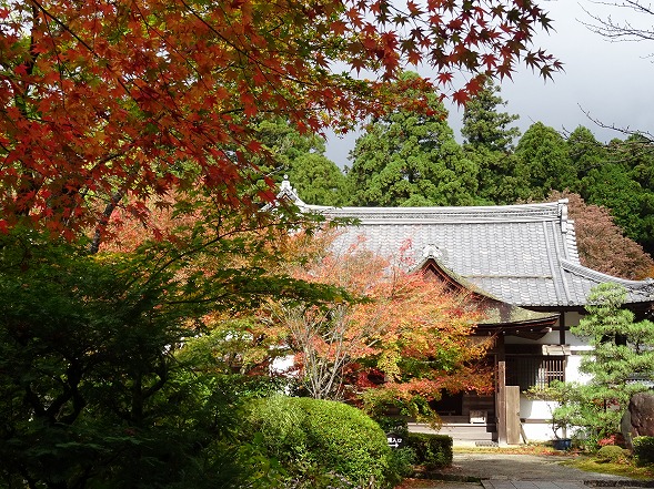 湖東三山・金剛輪寺の紅葉_b0299042_1340919.jpg