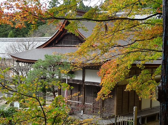 湖東三山・百済寺の紅葉_b0299042_18341215.jpg