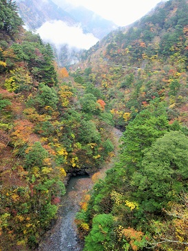 e0011145_21565735.jpg