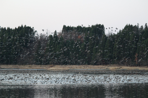 b0238249_1645977.jpg