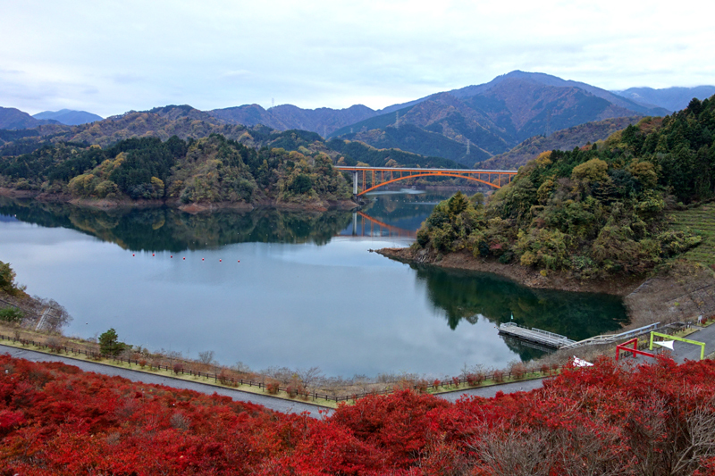 b0325549_21311255.jpg