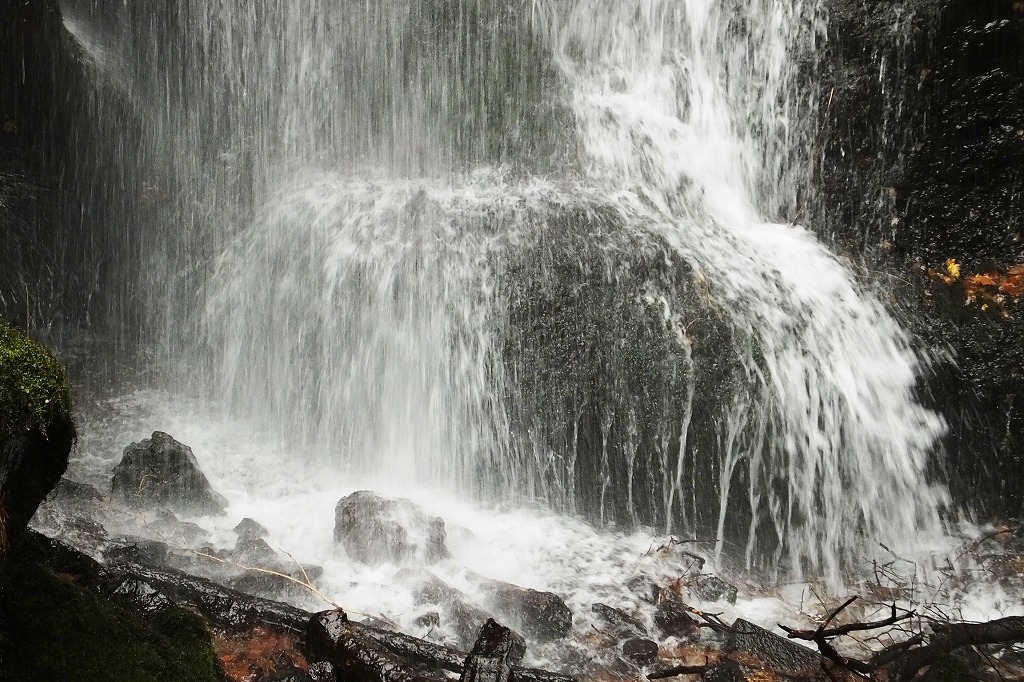 b0236251_15716.jpg