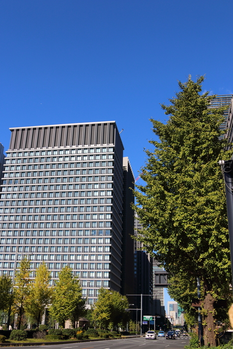 東京の秋、東京駅周りをお散歩、少しずつ色づく～　2_d0152261_19433381.jpg