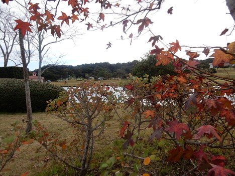 ’15,11,19(木)大変!バスを乗り間違えた!_f0060461_10111331.jpg