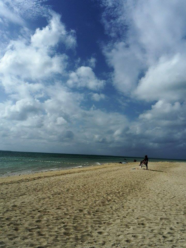 PECO Buccho と 石垣島~♪_d0197762_12495994.jpg
