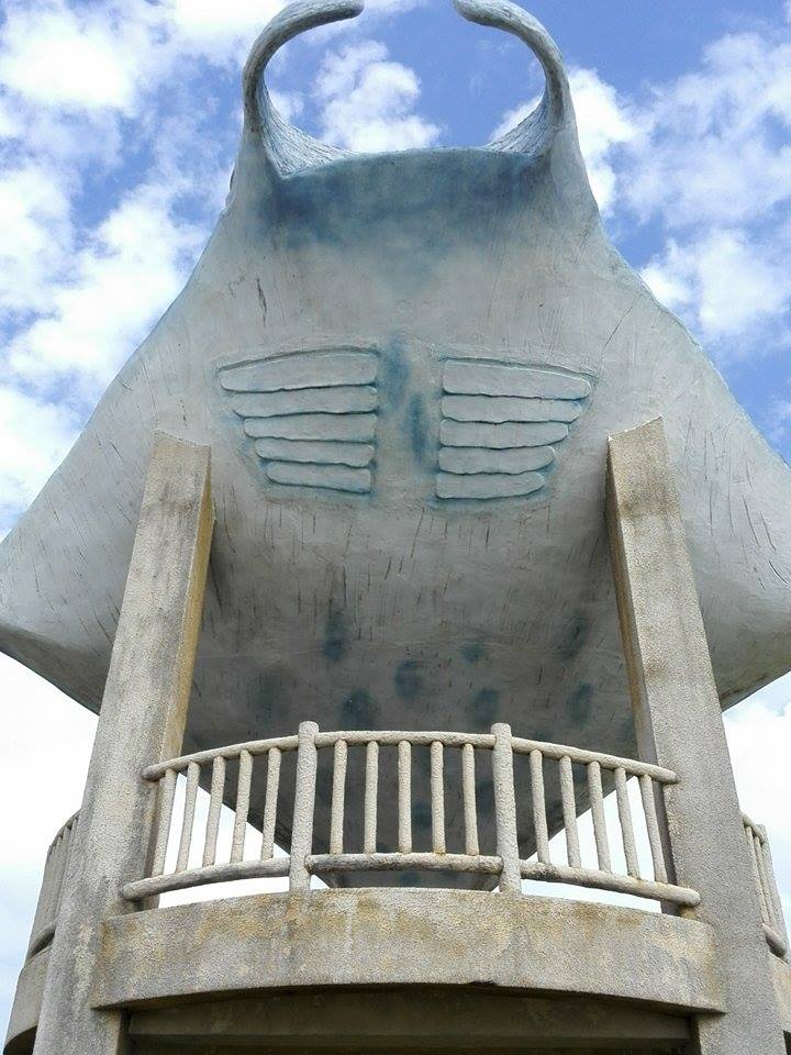 PECO Buccho と 石垣島~♪_d0197762_1258343.jpg