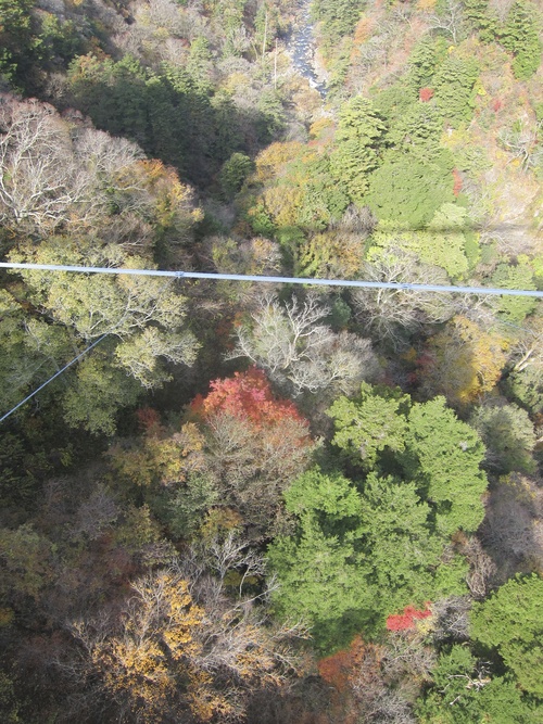 Autumn Kyushu-4._c0153966_17385254.jpg