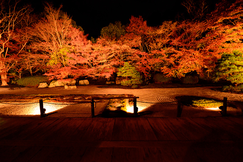 南禅寺・天授庵ライトアップ_c0317868_16382345.jpg