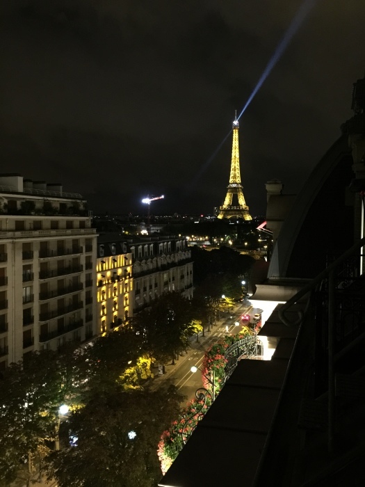 Hotel Plaza Athenee Paris_d0348772_00501597.jpg
