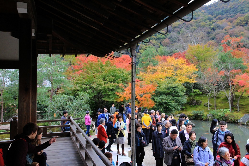 京都最終日 ~嵐山・天龍寺、金戒光明寺ライトアップ~_a0107574_21041223.jpg