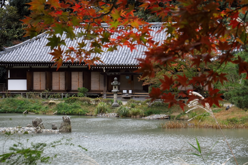 浄瑠璃寺_c0054876_15341595.jpg