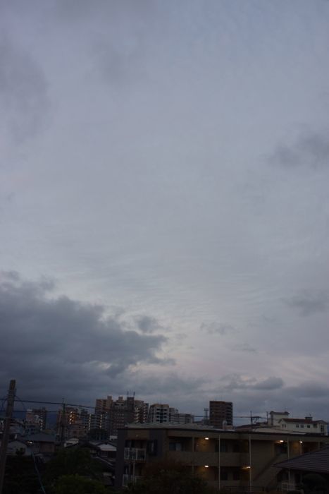 朝歌11月19日_c0169176_09522187.jpg