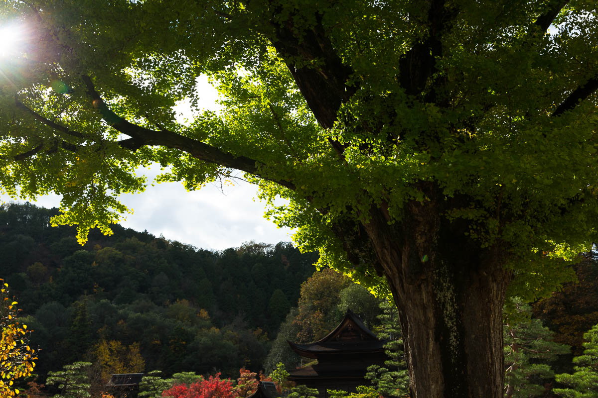 虎渓山永保寺_c0298391_20362512.jpg