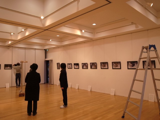 丸山 隆「ホンドテン」冬の生態写真展_e0159392_19262884.jpg