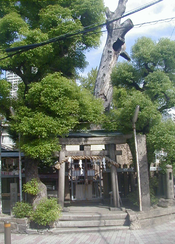 ●神社の造形―櫻宮御旅所_d0053294_2258744.jpg