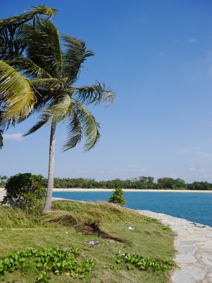 f0343001_23120122.jpg