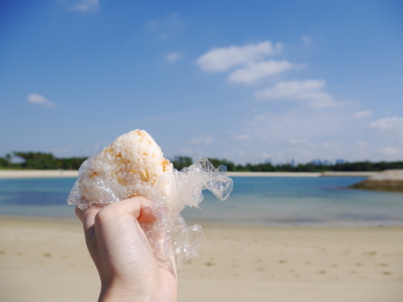 セントジョンズ島＆クス島巡りの旅に出てみた。～Lazarus Island 編～_f0343001_23214217.jpg