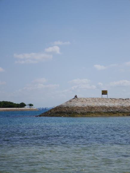 セントジョンズ島＆クス島巡りの旅に出てみた。～Lazarus Island 編～_f0343001_23223282.jpg