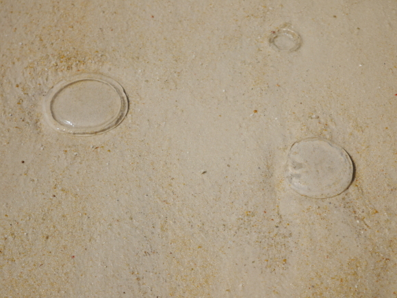 f0343001_23241035.jpg