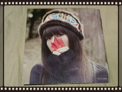 aiko / プラマイ ± 初回限定仕様盤_b0042308_13325350.jpg