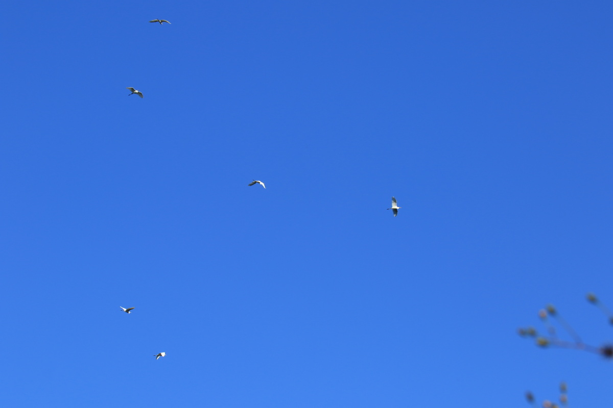 f0349409_12334517.jpg