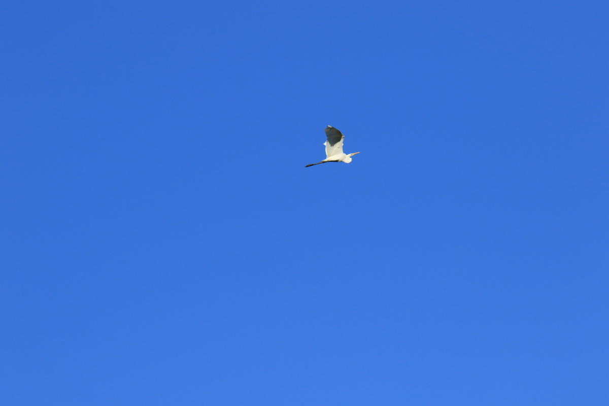 f0349409_12334680.jpg