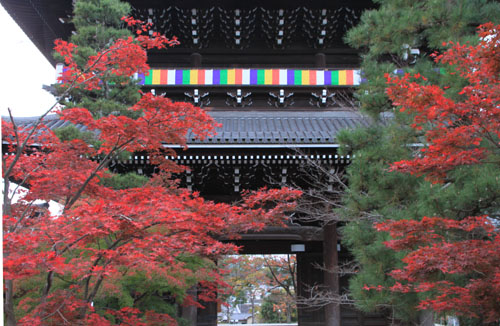 紅葉だより30 金戒光明寺_e0048413_17241175.jpg
