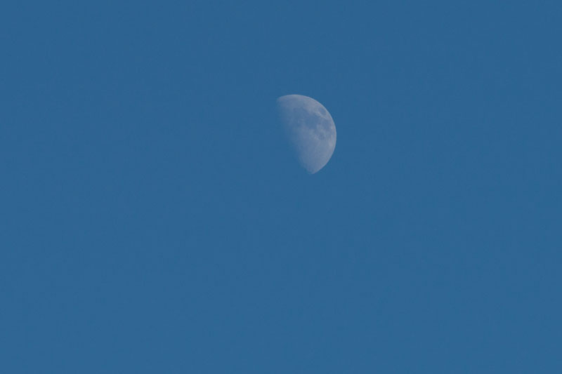 a0278914_173207.jpg