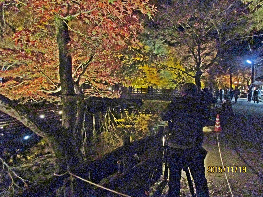 d0181824_12592237.jpg