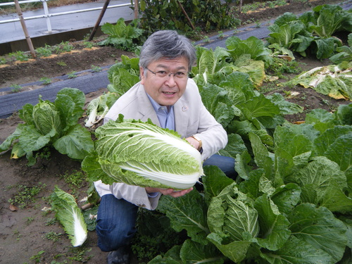 今年も契約農家より　野菜の納入が始まっています_e0154524_1533739.jpg