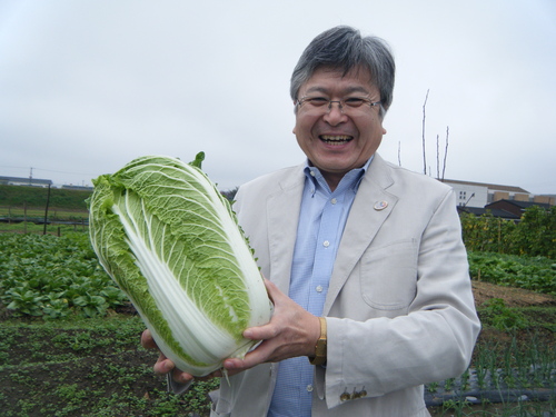 今年も契約農家より　野菜の納入が始まっています_e0154524_1562563.jpg