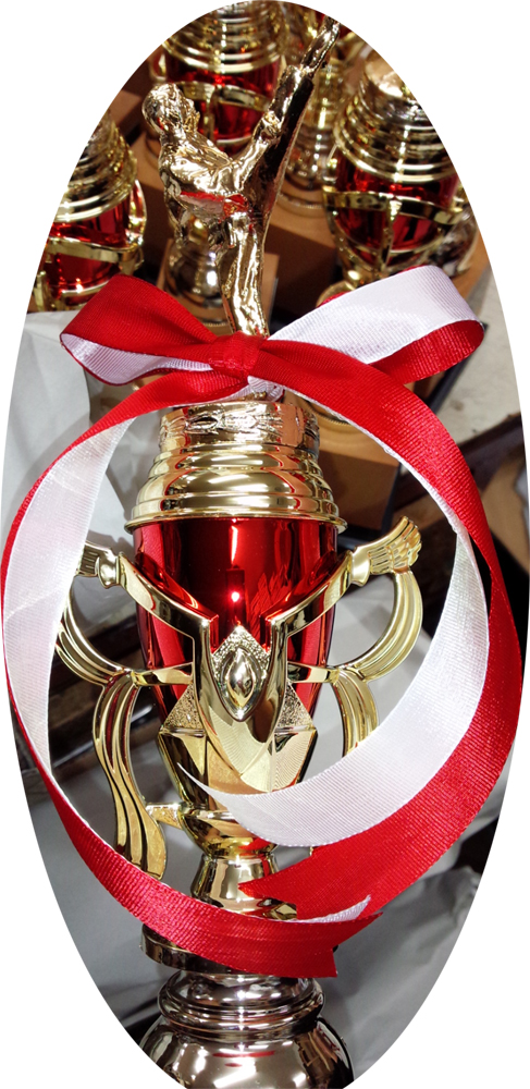 空手トロフィー トロフィー屋さんのお勧め商品