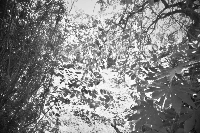 c0109827_1643261.jpg