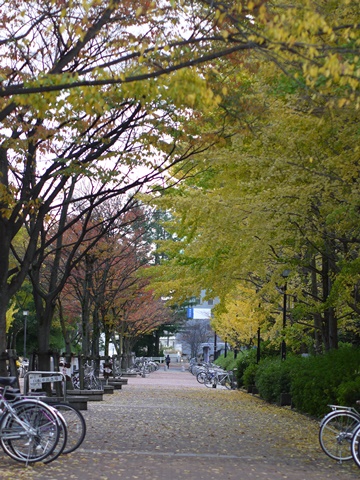 e0100046_21202857.jpg