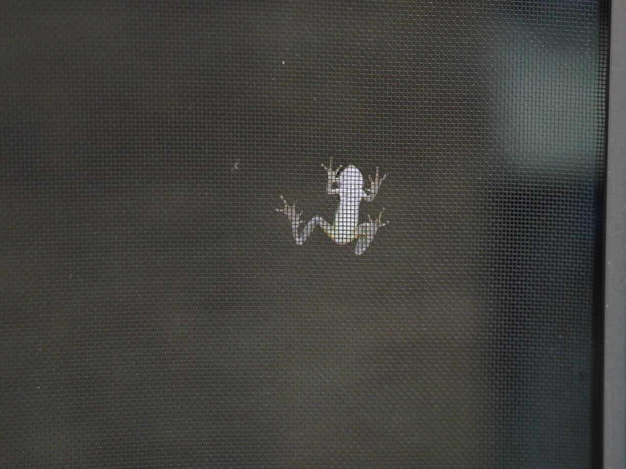d0341450_22245353.jpeg