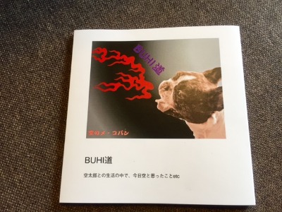 BUHIぐるみ、BUHIバッグ、BUHIづくし♪_b0307951_21595763.jpg