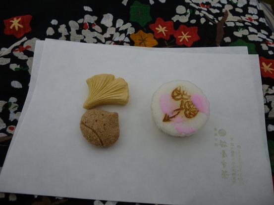 きもので集う園遊会・お茶席で運を使い果たす。_f0181251_18425244.jpg
