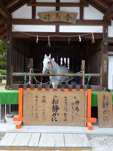 きもので集う園遊会・お茶席で運を使い果たす。_f0181251_1848535.jpg