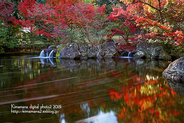 まきび公園の秋　2015-2_f0324756_11241975.jpg