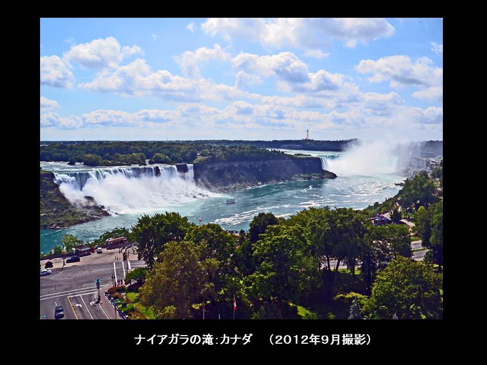 a0261857_855586.jpg