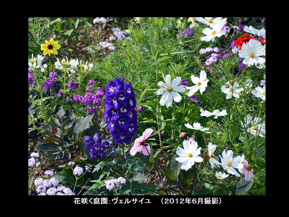 a0261857_935639.jpg