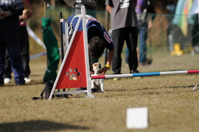 JKC長崎ウィズワンアジリティークラブ競技会 2015/11/15 #5_d0230464_20061035.jpg