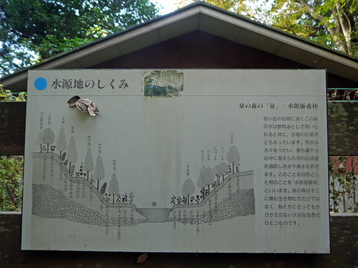 みどりの実践団体交流会で鎌倉版「地域循環圏」発表11・18_c0014967_1963644.jpg