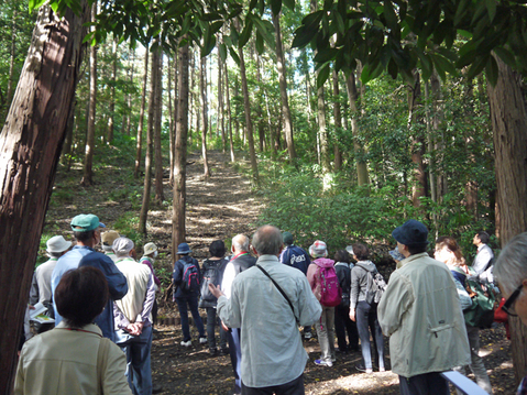 みどりの実践団体交流会で鎌倉版「地域循環圏」発表11・18_c0014967_1975471.jpg